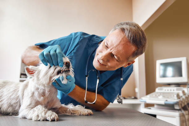 Best Emergency Tooth Extraction  in East Lansing, MI
